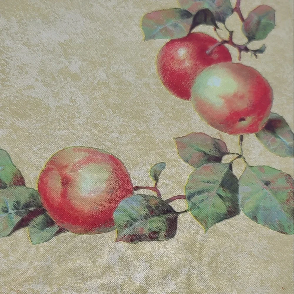 Vintage Apple Blossom Vinyl Placemats Set of 6 Reversible Easy Care 90s